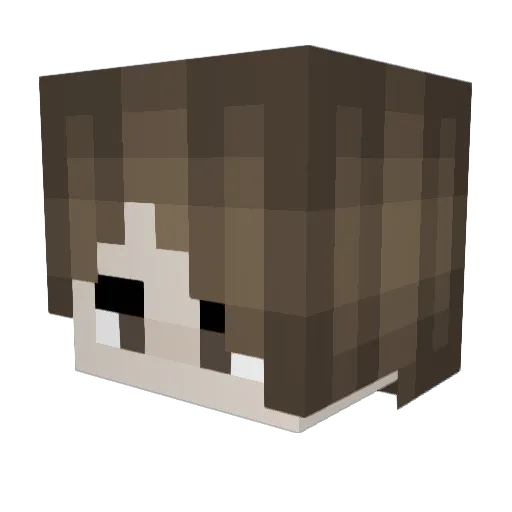 Reisbauer69 Minecraft avatar head, 3D render