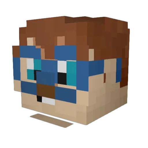 ReisfarmerRev Minecraft avatar head, 3D render
