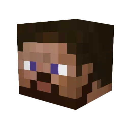 ReisfeId Minecraft avatar head, 3D render