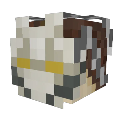 Reish_ Minecraft avatar head, 3D render