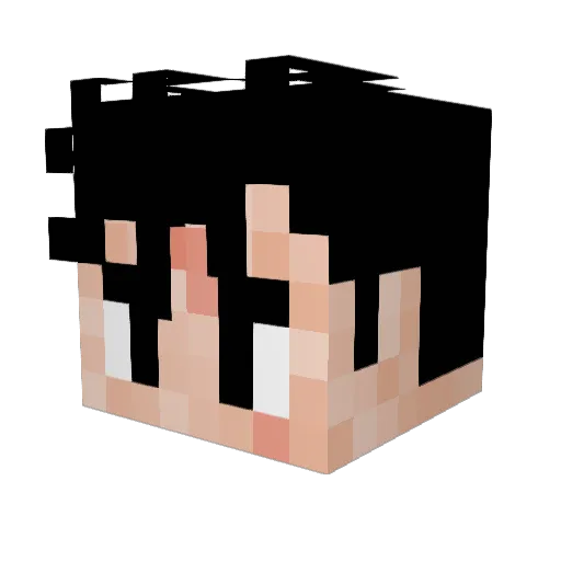 Reishin_ Minecraft avatar head, 3D render