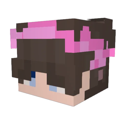 Reiskin Minecraft avatar head, 3D render