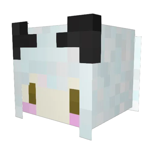 Reisn2 Minecraft avatar head, 3D render