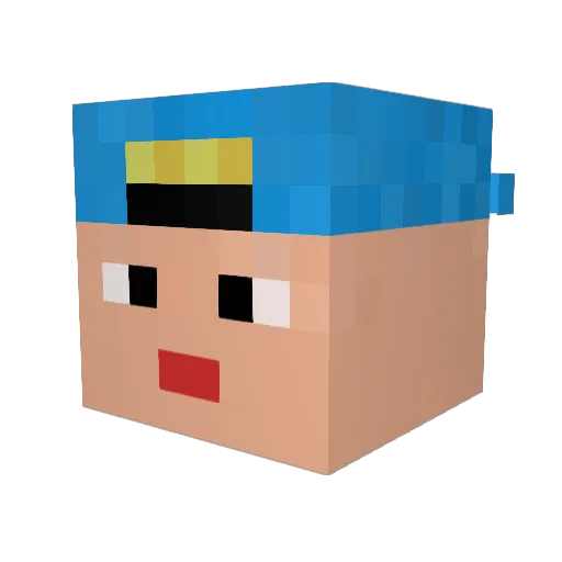Reisy Minecraft avatar head, 3D render