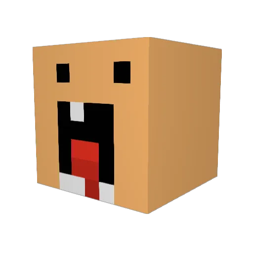 Reitoo02 Minecraft avatar head, 3D render