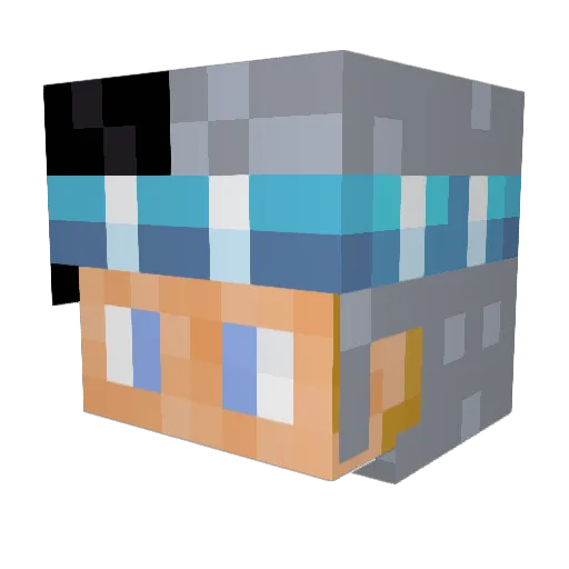 Reitor_ Minecraft avatar head, 3D render