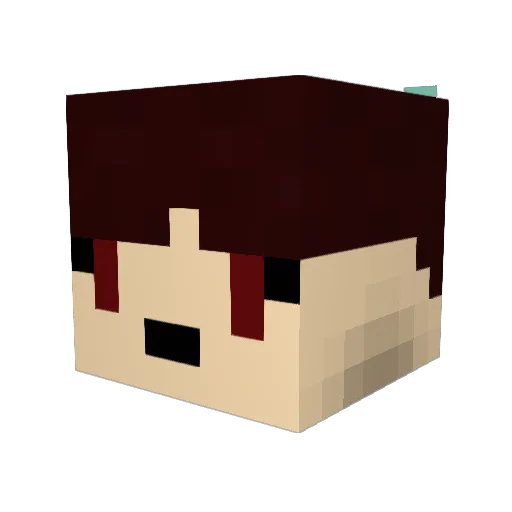 Reiuiji Minecraft avatar head, 3D render