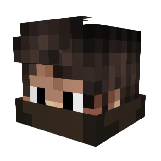 Reiwarn Minecraft avatar head, 3D render