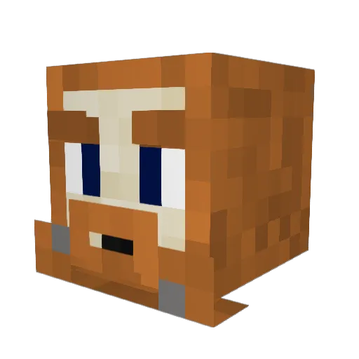 Reizetboy_ Minecraft avatar head, 3D render