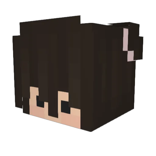 Reizlos Minecraft avatar head, 3D render