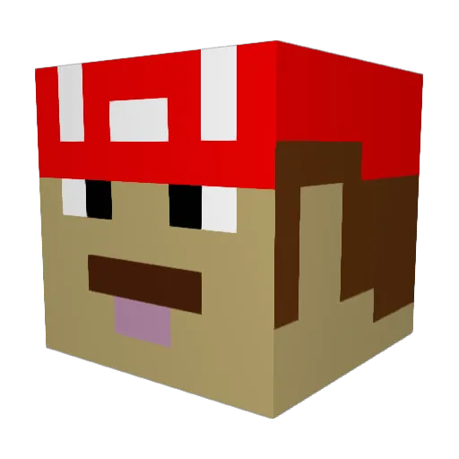 Reizt Minecraft avatar head, 3D render