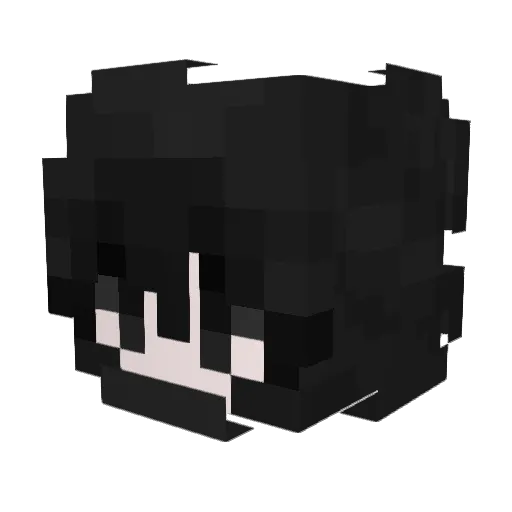 RejectDemocracy Minecraft avatar head, 3D render