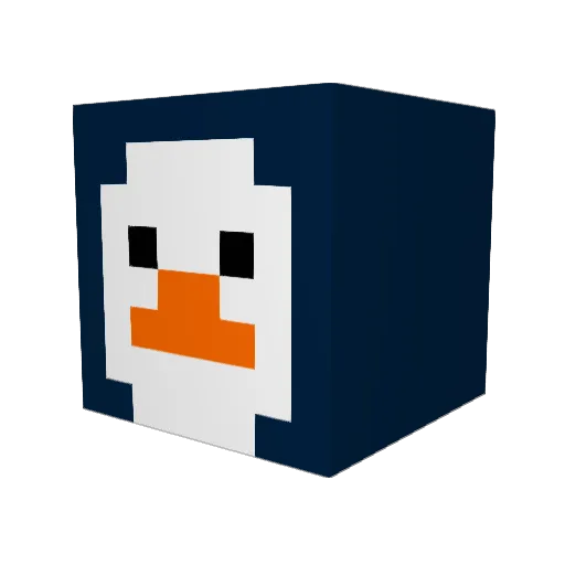 Rejemi33 Minecraft avatar head, 3D render