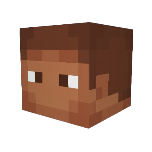 Rejinod Minecraft avatar head, 3D render