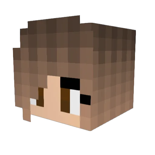 Rejqt Minecraft avatar head, 3D render