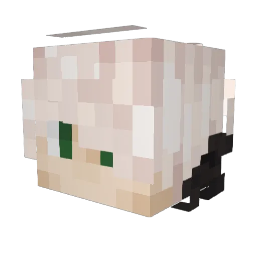 Rekfy Minecraft avatar head, 3D render