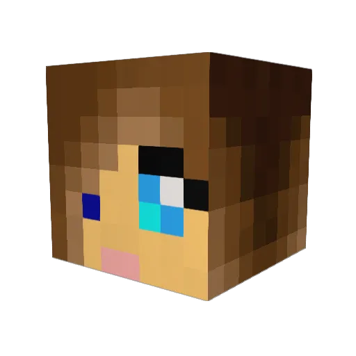 Reko1997 Minecraft avatar head, 3D render