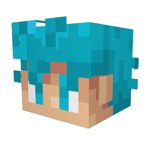 RektByJimmy Minecraft avatar head, 3D render