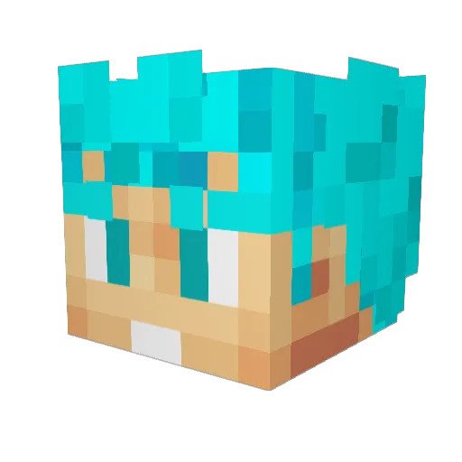 RektNation117 Minecraft avatar head, 3D render