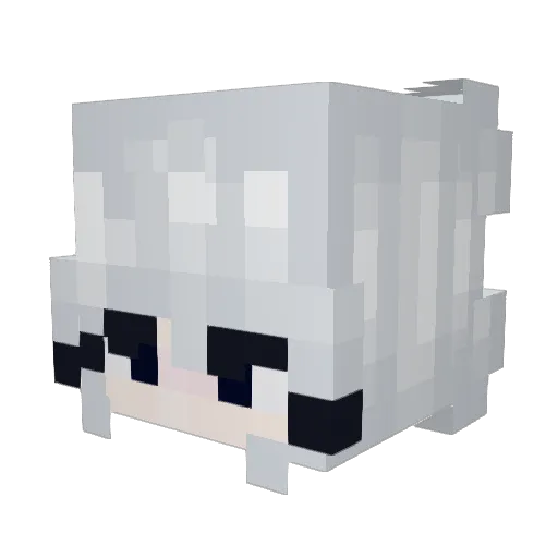 Rekt_NerdThing Minecraft avatar head, 3D render