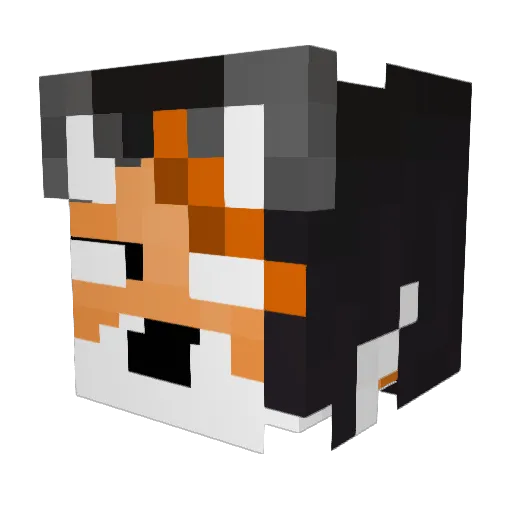 Rekt_kiD_1 Minecraft avatar head, 3D render