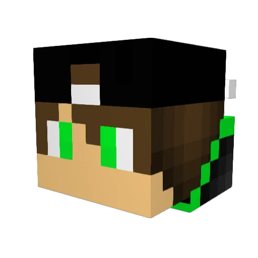 RektalSpalter Minecraft avatar head, 3D render