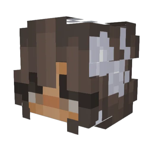 Rektard Minecraft avatar head, 3D render