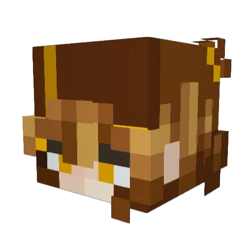 Rektori Minecraft avatar head, 3D render