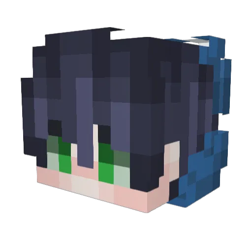 Rel_yirl Minecraft avatar head, 3D render