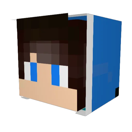 RelaxedPanda_ Minecraft avatar head, 3D render
