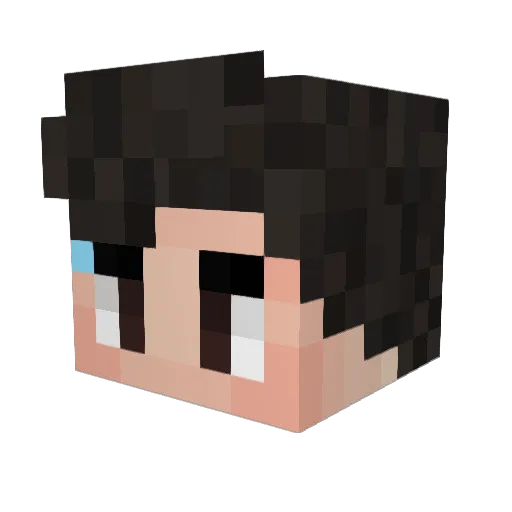 RelaxingLions Minecraft avatar head, 3D render