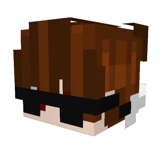 RelaxoC Minecraft avatar head, 3D render