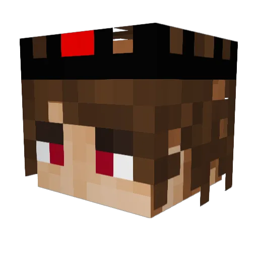 Relay29 Minecraft avatar head, 3D render