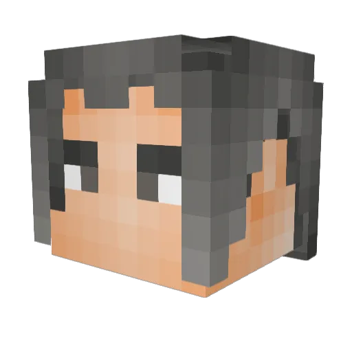 ReleaseBogus Minecraft avatar head, 3D render