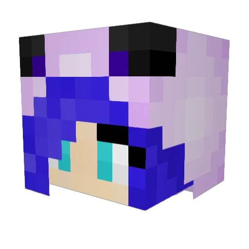 Releed Minecraft avatar head, 3D render