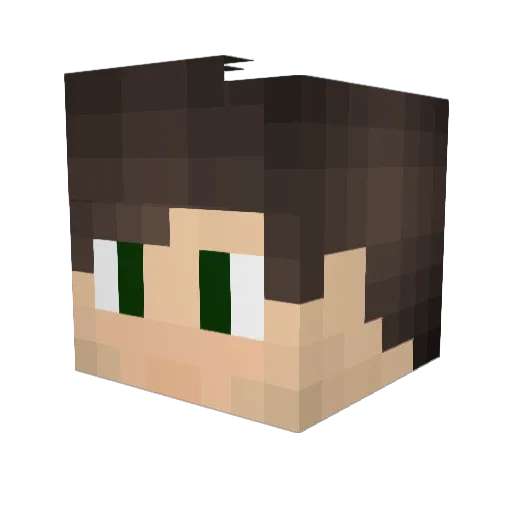 Releee Minecraft avatar head, 3D render