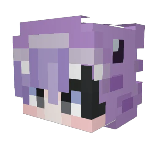 Relent1essN1nja Minecraft avatar head, 3D render