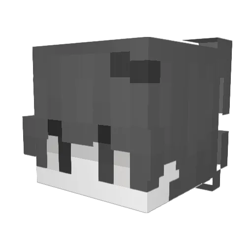 RelentlessBurger Minecraft avatar head, 3D render