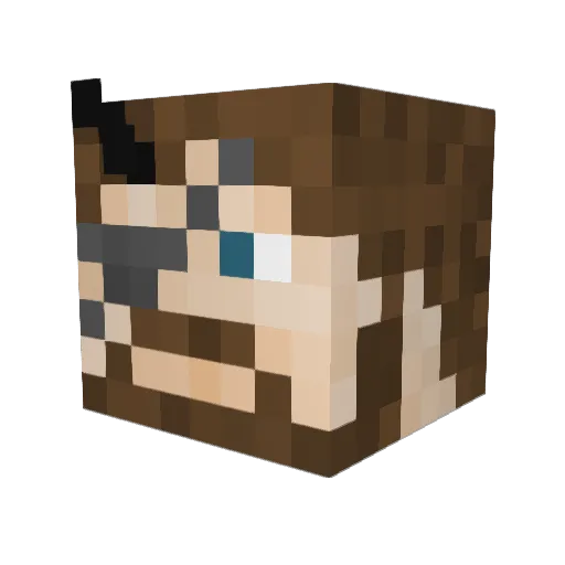 ReliableOx Minecraft avatar head, 3D render