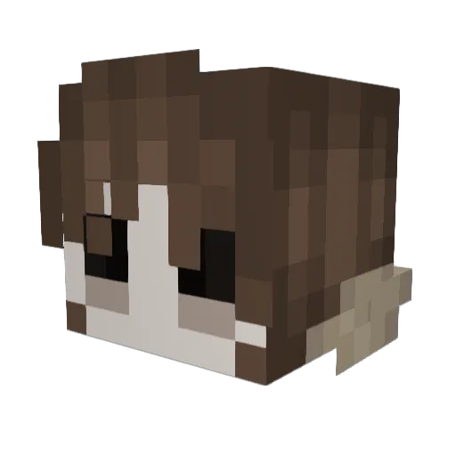 Relishki Minecraft avatar head, 3D render