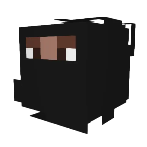 RellVert Minecraft avatar head, 3D render