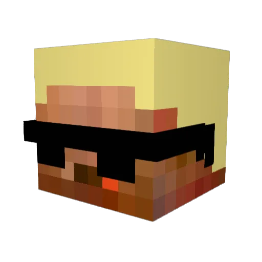 Relllie Minecraft avatar head, 3D render