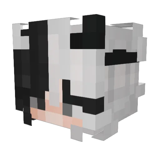 Rellow19 Minecraft avatar head, 3D render