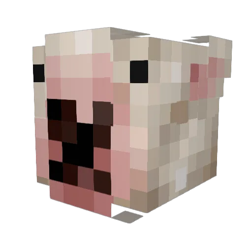 Relsan Minecraft avatar head, 3D render