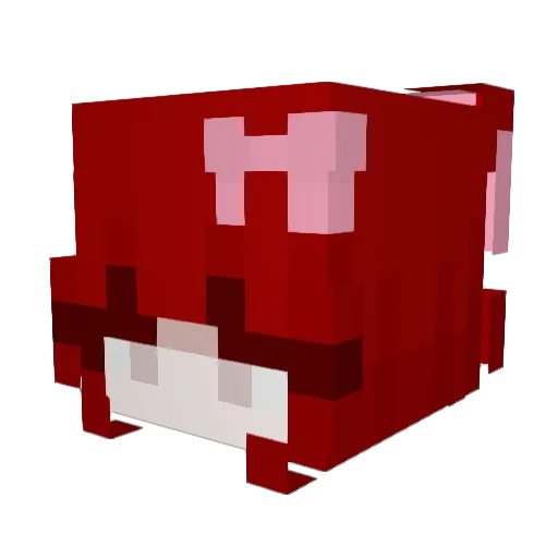 Relucas05 Minecraft avatar head, 3D render