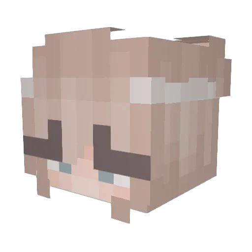 Reluik Minecraft avatar head, 3D render