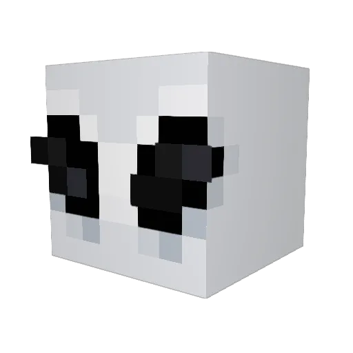 Relyt29 Minecraft avatar head, 3D render