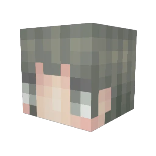 Rem0228 Minecraft avatar head, 3D render