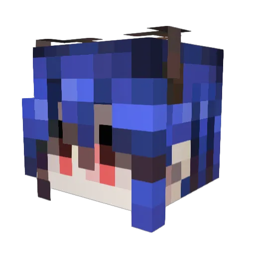 Rem4Ever0 Minecraft avatar head, 3D render