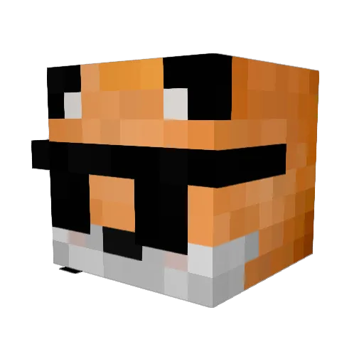 RemSc10 Minecraft avatar head, 3D render